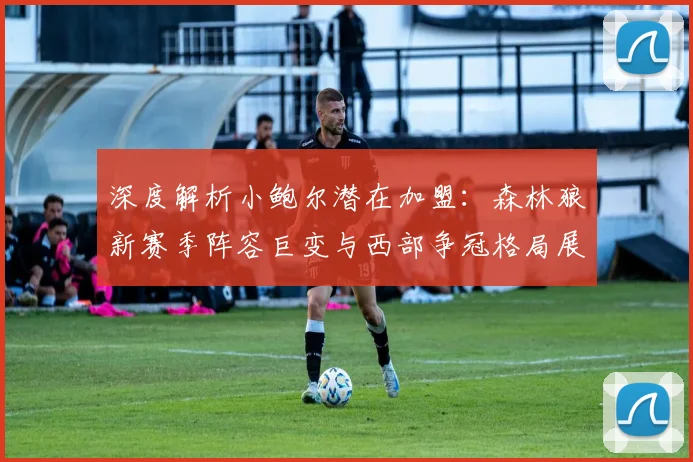 深度解析小鲍尔潜在加盟：森林狼新赛季阵容巨变与西部争冠格局展望